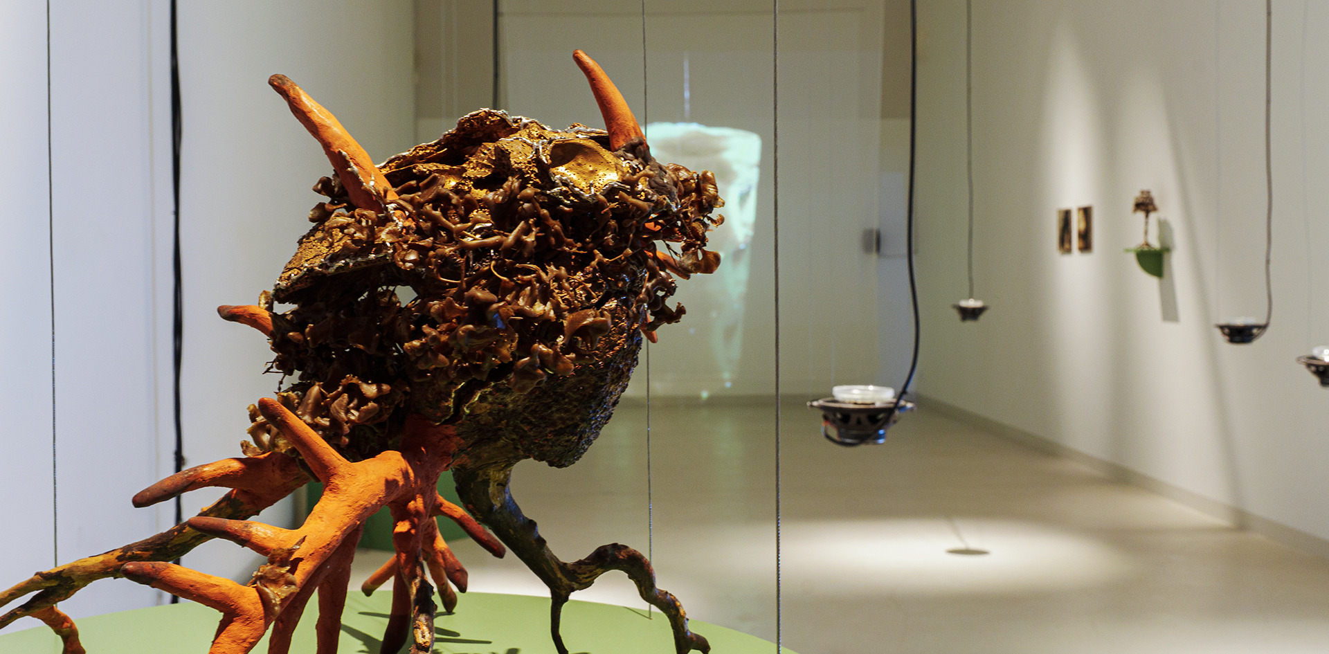 Tangled Becomings: Ecos de Biomas Mutantes